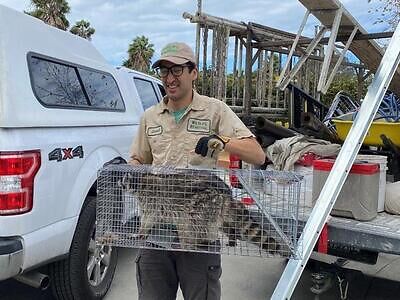 Sterling Heights pest control